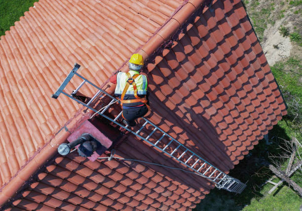 Best Asphalt Shingle Roofing  in Sage, CA